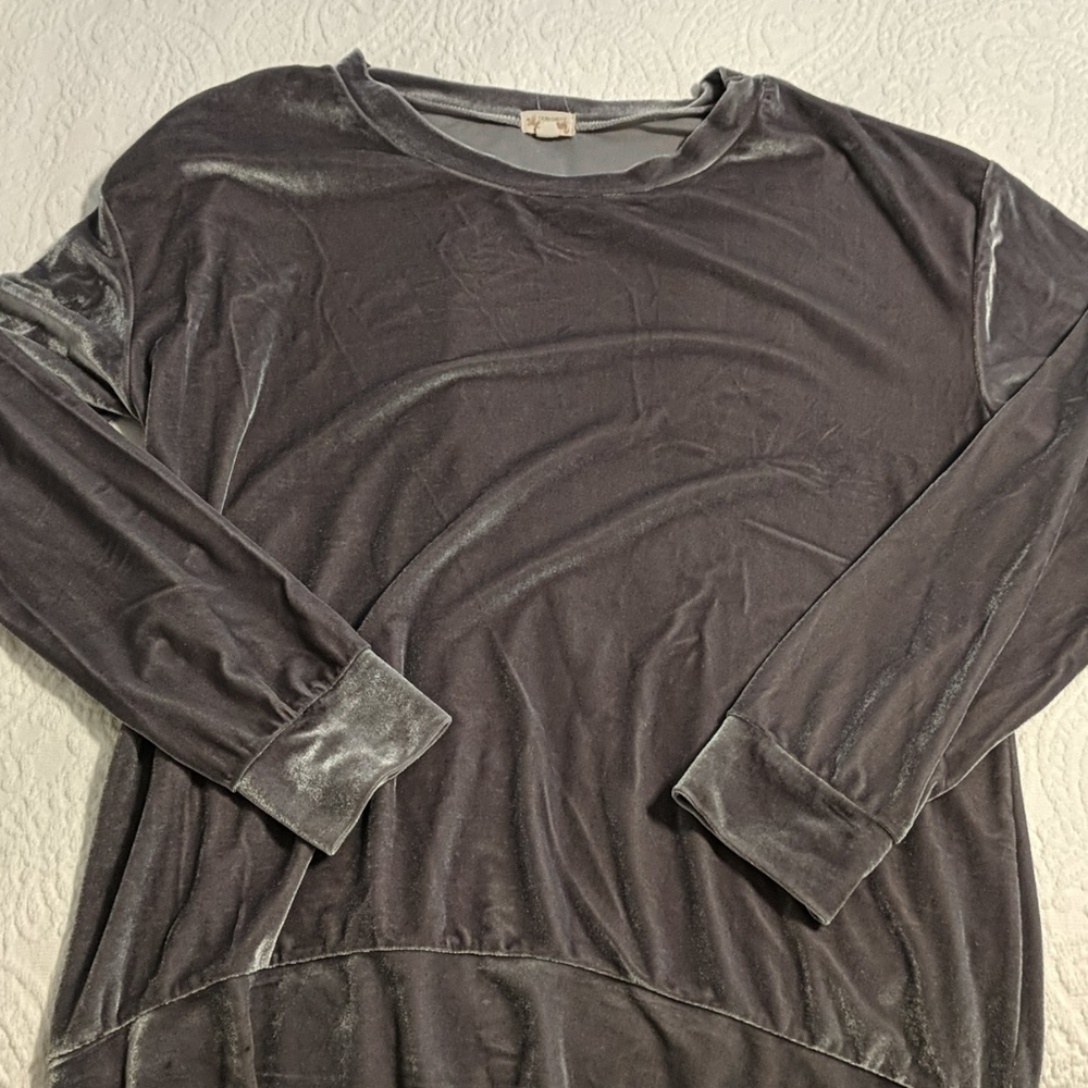 Ten-sixty Sherman silver velour sweatshirt sz L